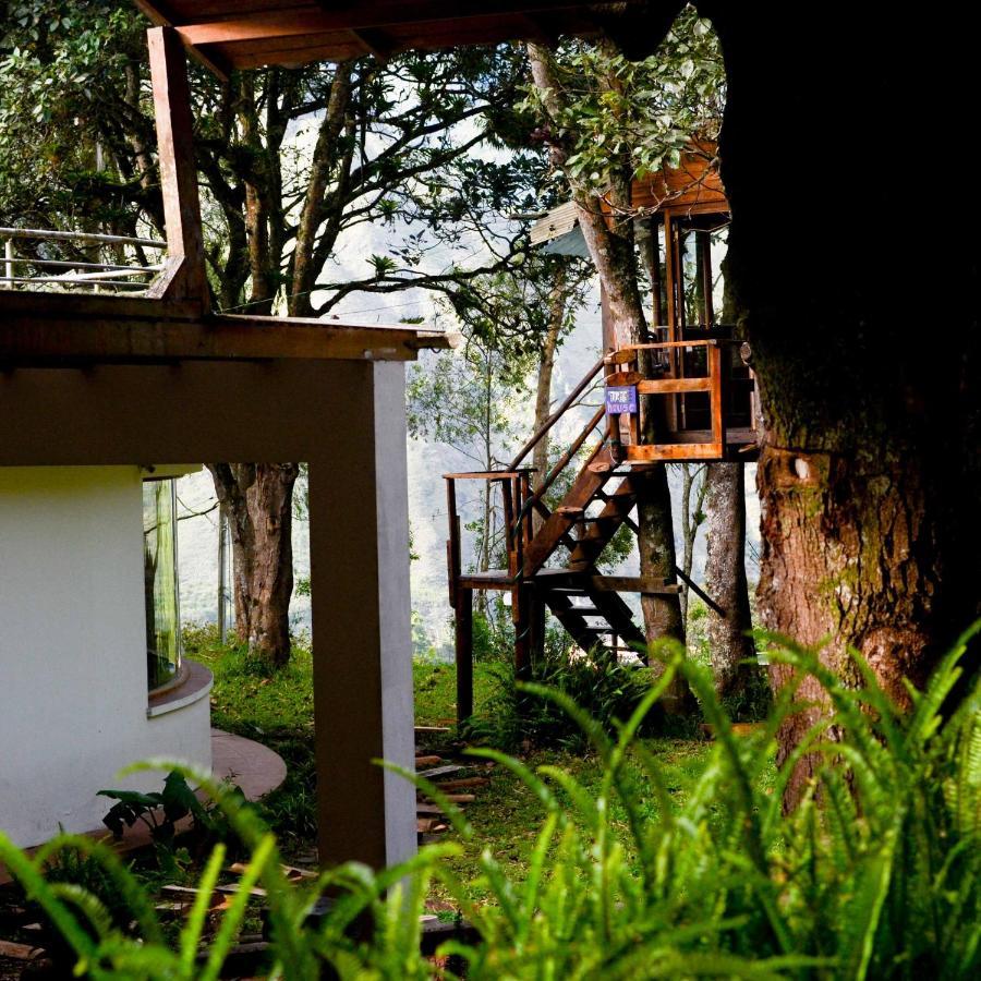 Mama Tungu Hostel Baños Extérieur photo